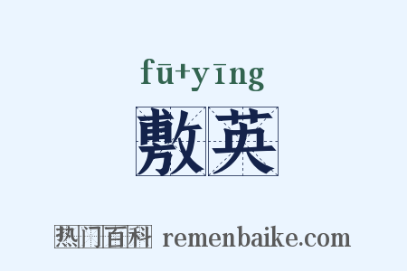 敷英是什么意思的图片